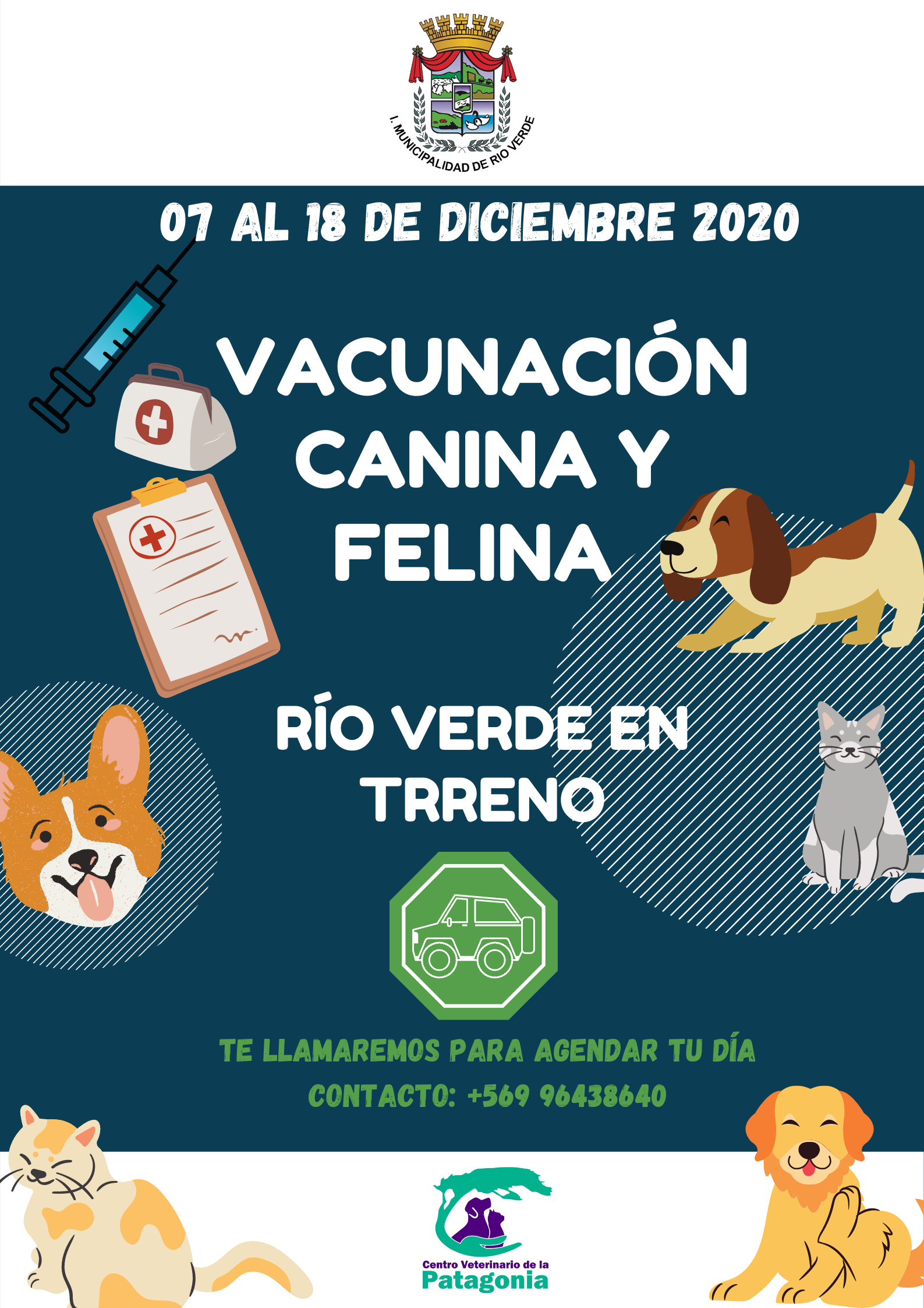 VACUNACIÓN CANINA Y FELINA EN TERRENO 2020.png