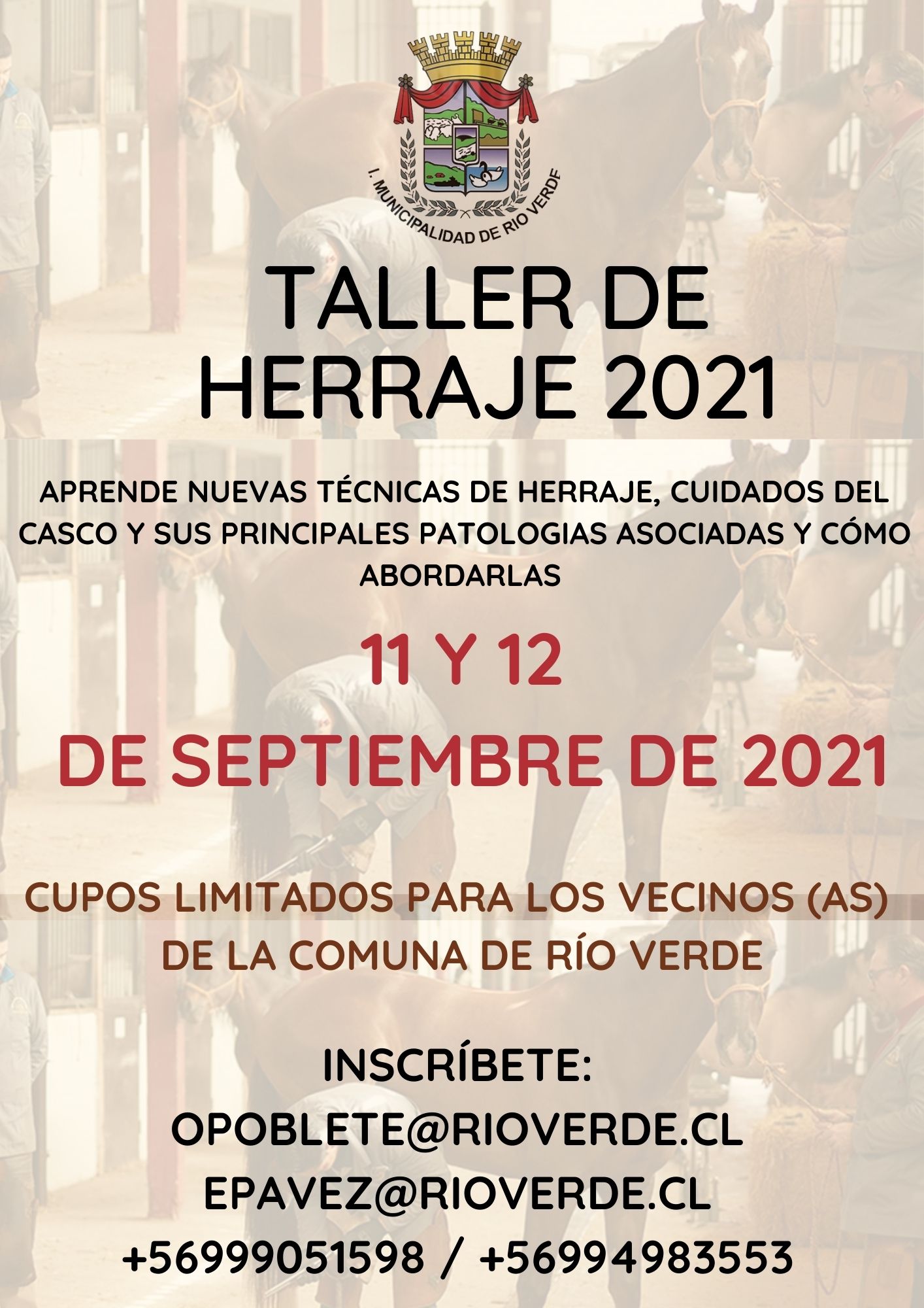 TALLER DE HERRAJE 2021 (1).jpg